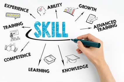 Business Team Building: Types of Teams