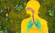 Asthma 101